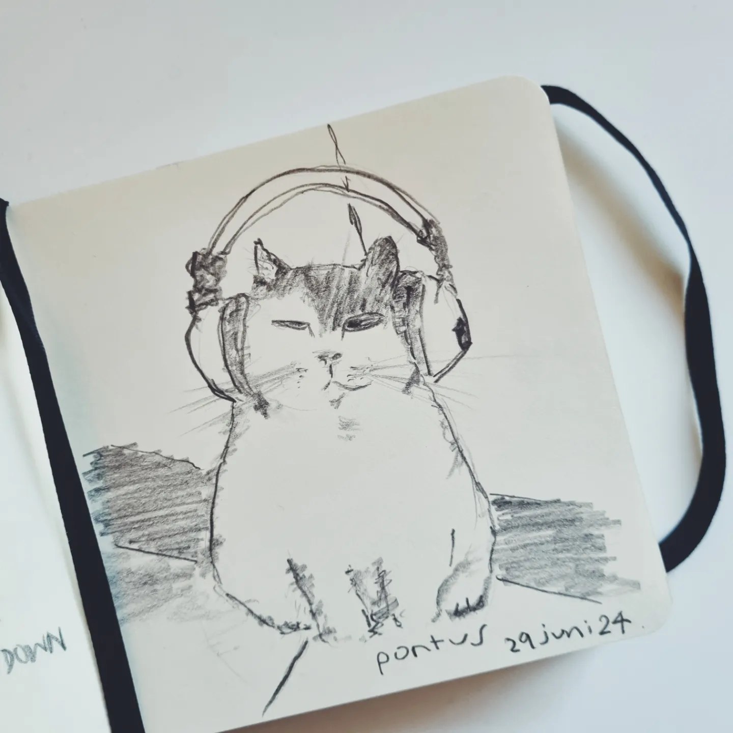 Pontus the cat, with a headset.